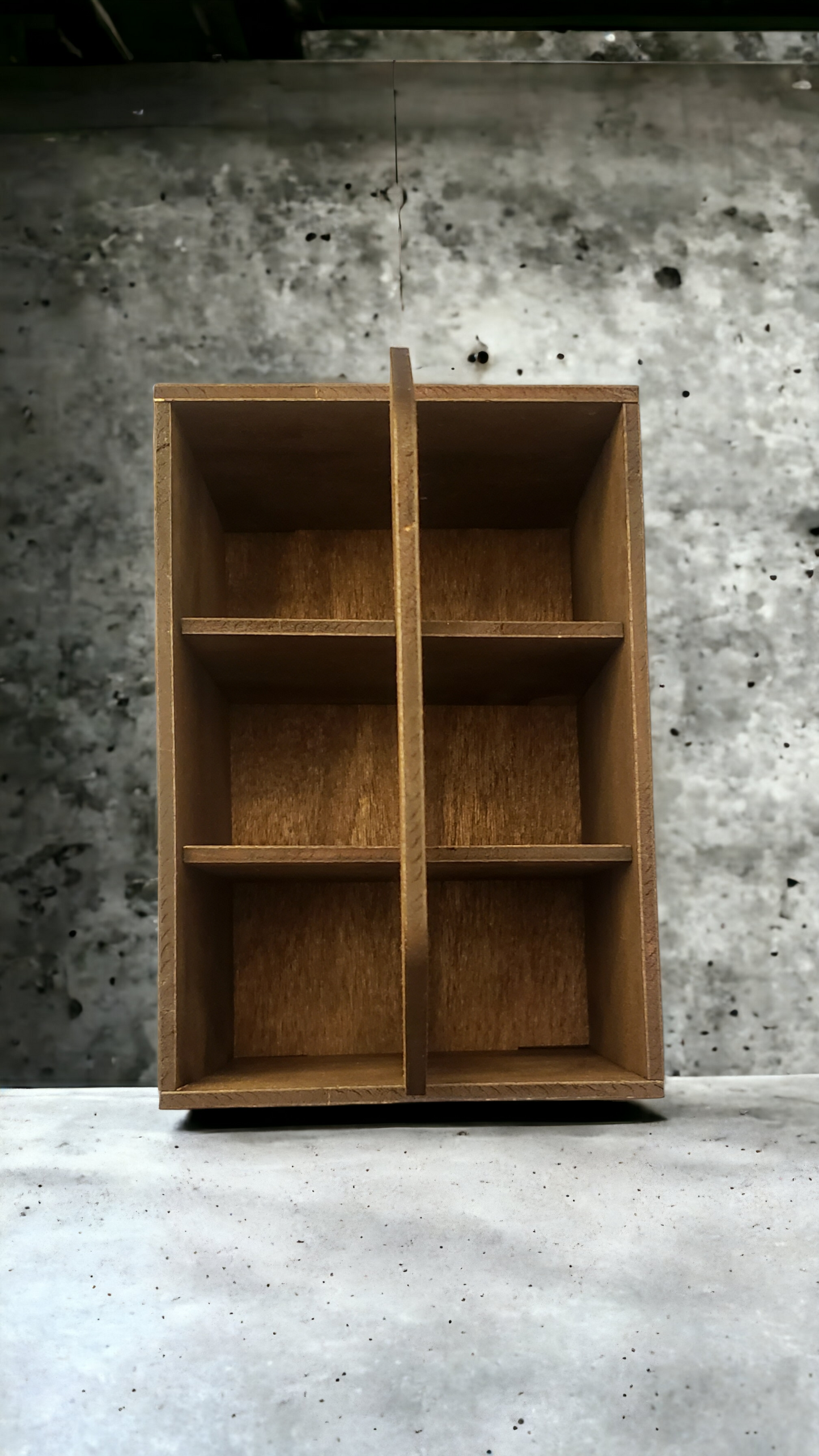 Personalized Beer Bottle Caddy, holds 6 bottles, choose your design